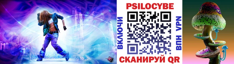 Купить где  Переславль-Залесский  Галлюциногенные грибы Psilocybine cubensis 